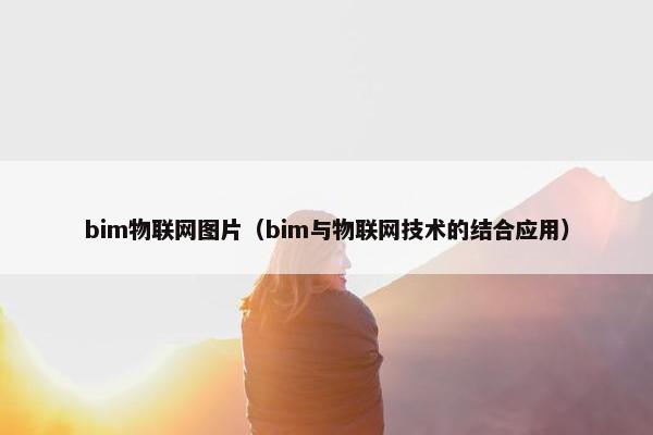 bim物联网图片（bim与物联网技术的结合应用）