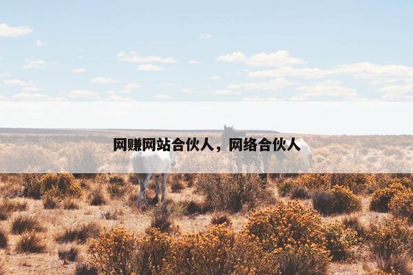 网赚网站合伙人，网络合伙人
