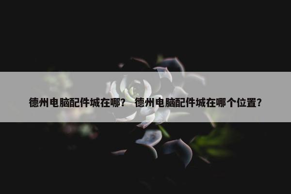 德州电脑配件城在哪？ 德州电脑配件城在哪个位置？