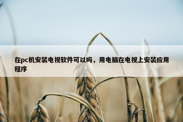 在pc机安装电视软件可以吗，用电脑在电视上安装应用程序