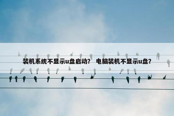 装机系统不显示u盘启动？ 电脑装机不显示u盘？