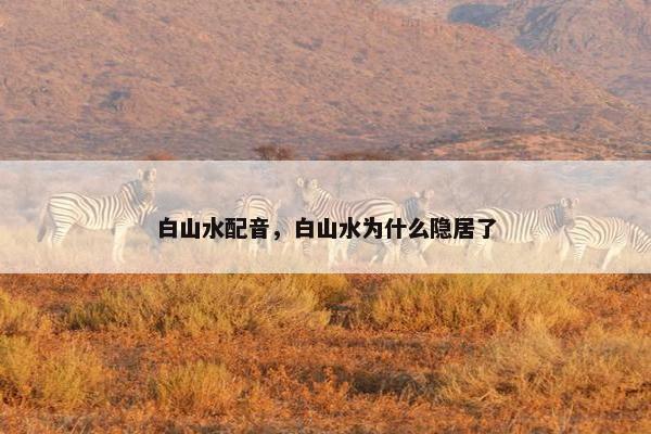 白山水配音，白山水为什么隐居了